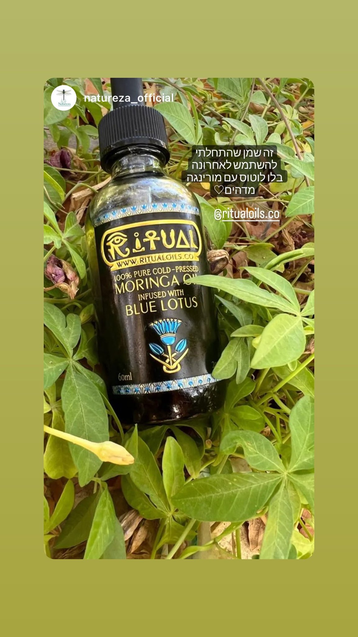 6 Pack of Ritual Oils - Save 20% - Free Shipping Worldwide