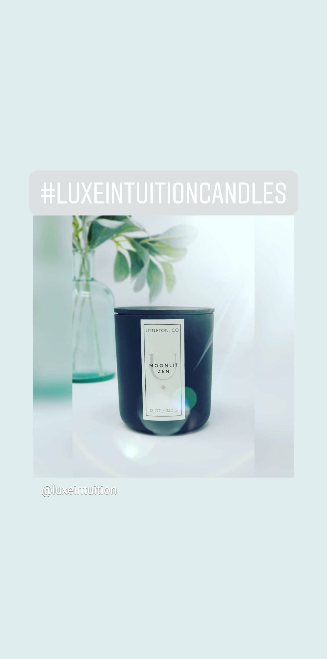 A Luxe Aromatherapy Collection, Prana, Non-Toxic Home Fragrance, Wild  Mint & Eucalyptus - Luxe Intuition, Wooden Wick Candles