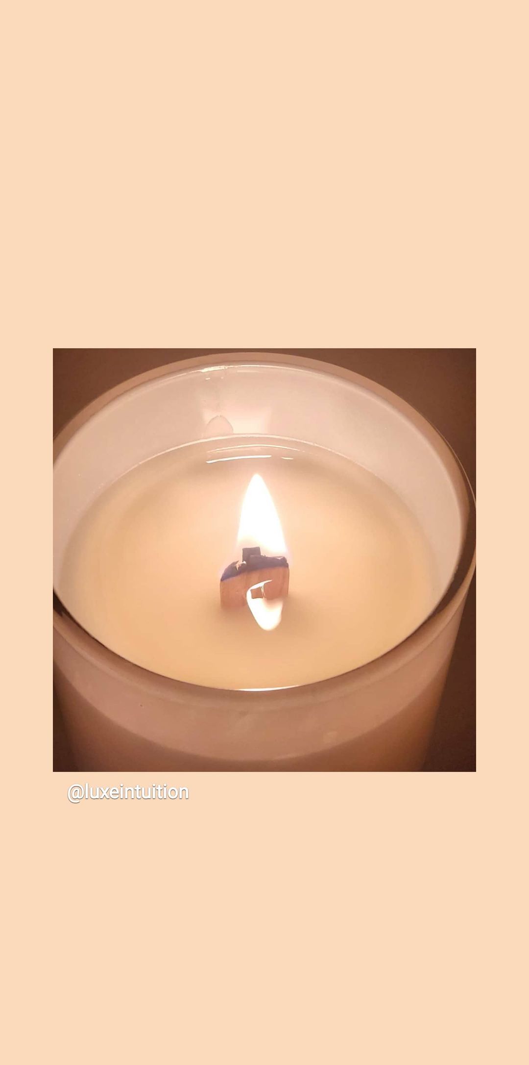 The Sophisticate Candle 8 oz, Luxury Scented Candle, Vegan Candle - Luxe  Intuition, Wooden Wick Candles