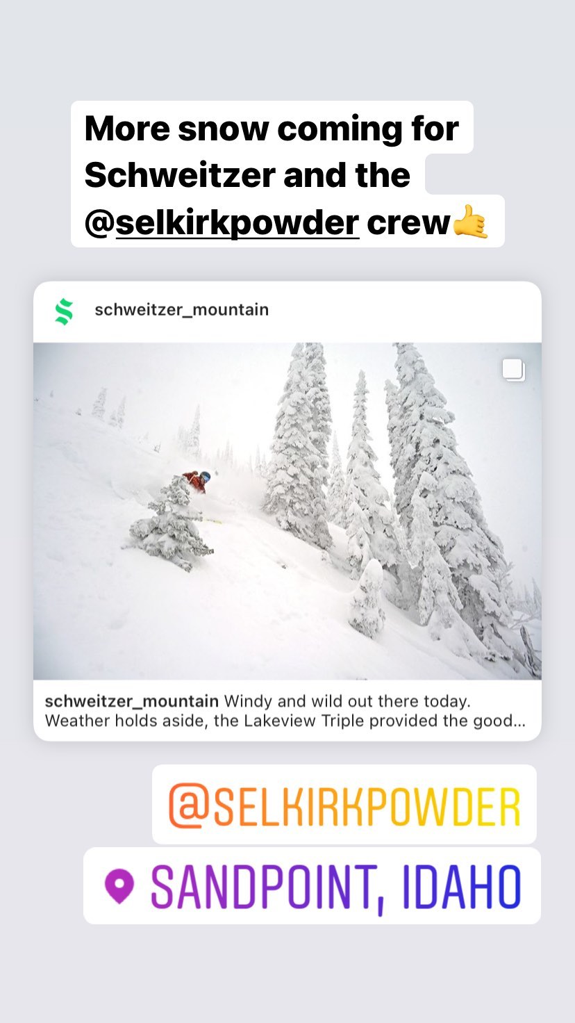 Powderchasers