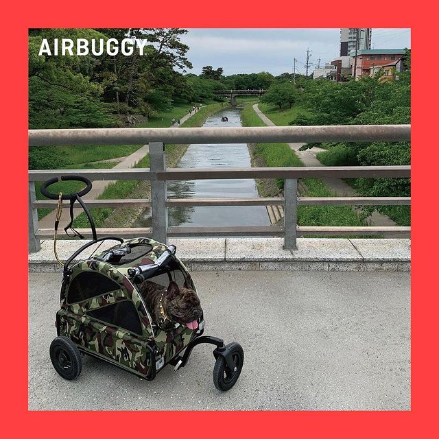 AIRBUGGY – AIRBUGGY for Pet